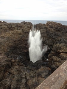 Sydney to Melbourne-018